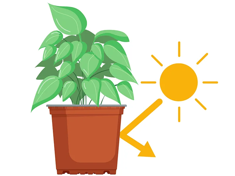 Taux d'échec très bas