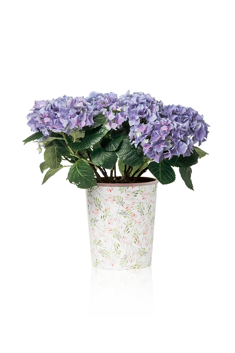 mdf-104-universell-aw.png