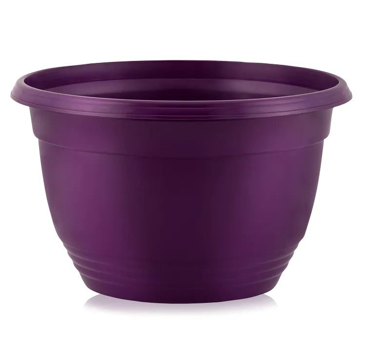 tca-brombeer-pr.png