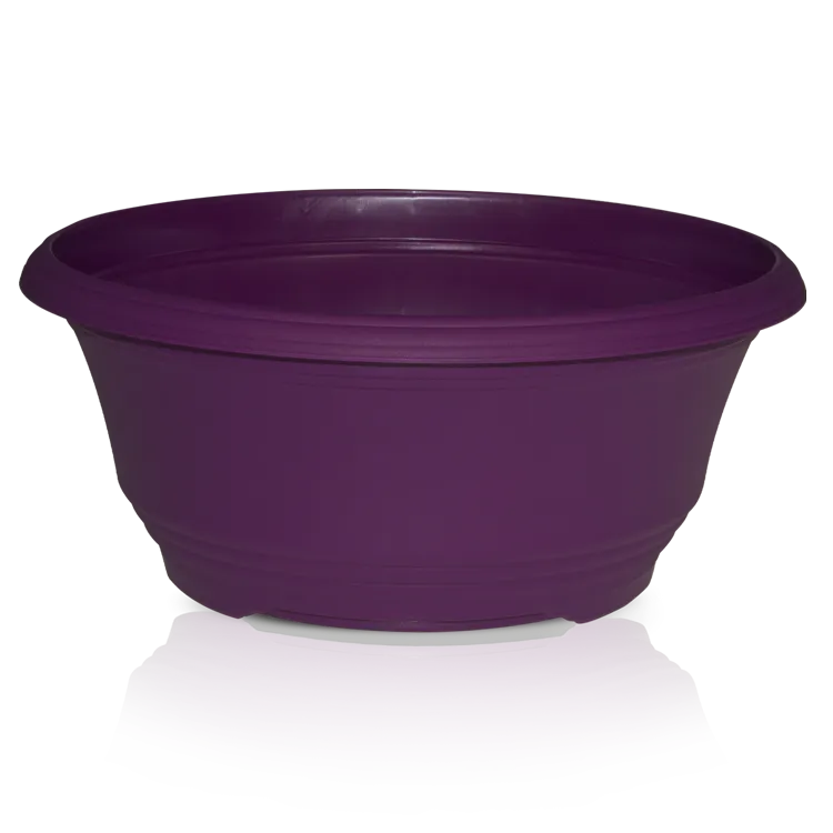 t-brombeer-pr.png