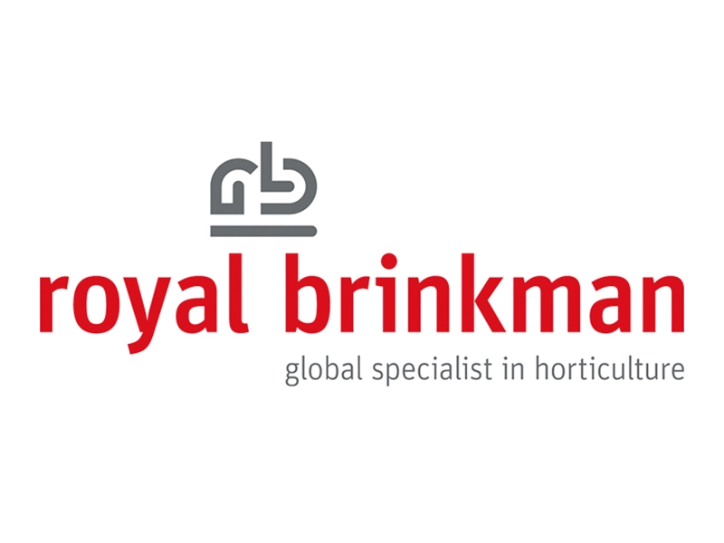 logo-royal-brinkmann-800x600