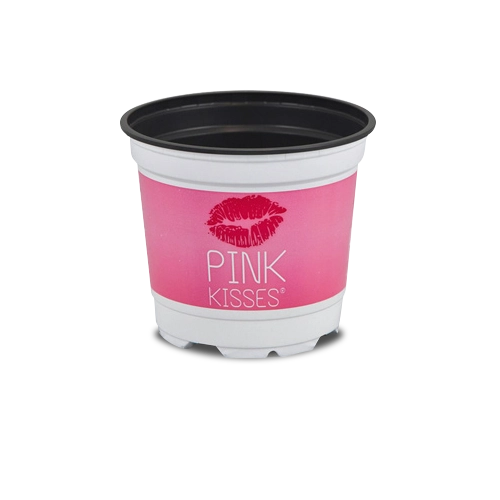 teku-slidershow-pink-kisses-blumentopf-en_500x500