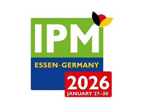 logo-ipm-2026