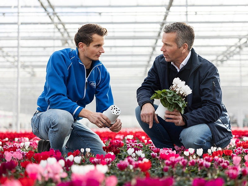 TEKU Innovation-Performance TEKU Team