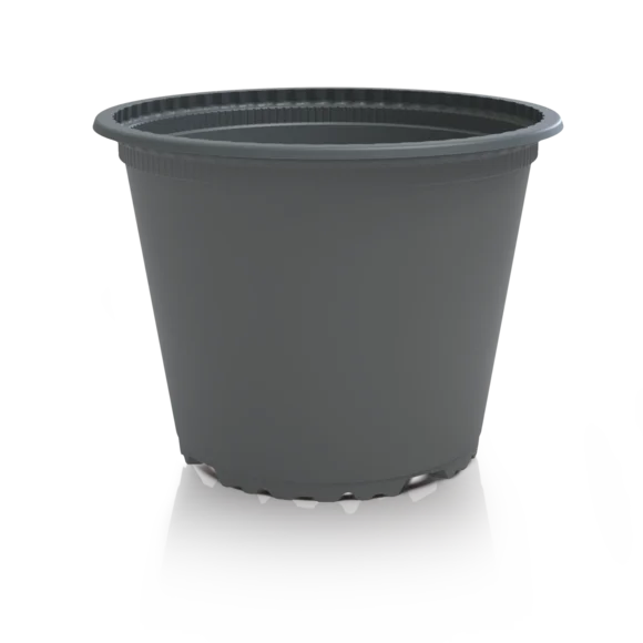 Produktfoto VTL baseline grau