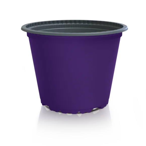 Produktfoto VTL brombeer/grau