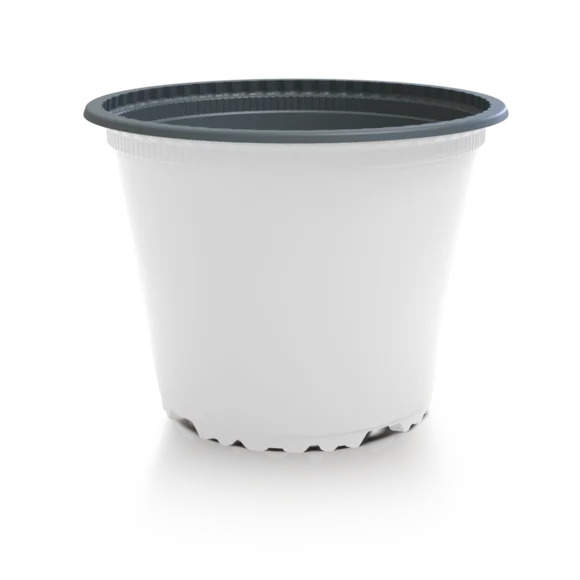 Produktfoto VTL weiß/grau