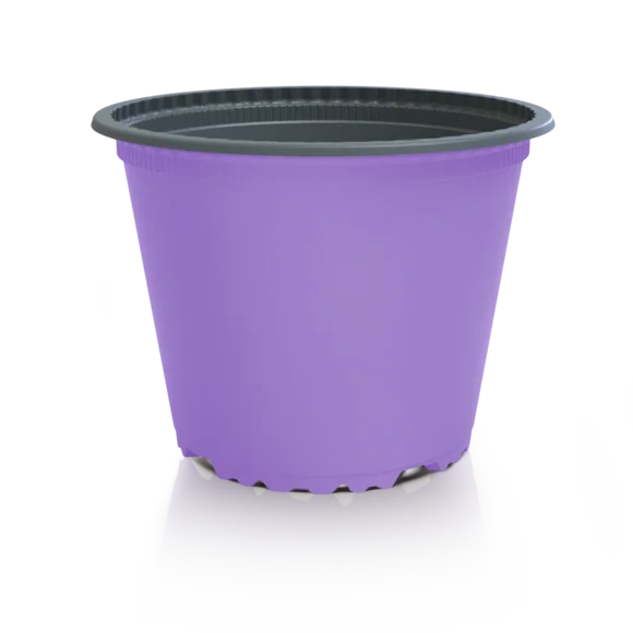 Produktfoto VTL lavendel/grau