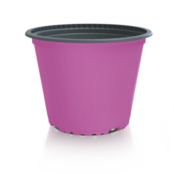 Produktfoto VTL pink/grau